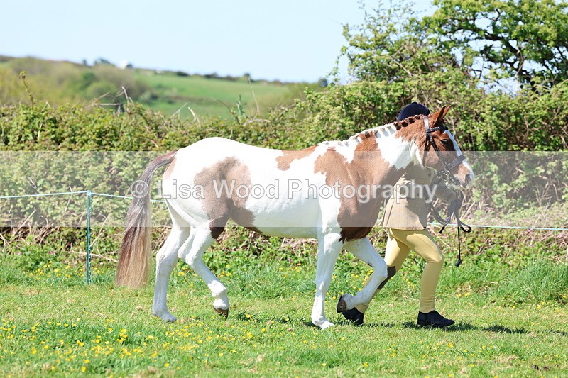 3E7A9920 - Class 17: Young Handler