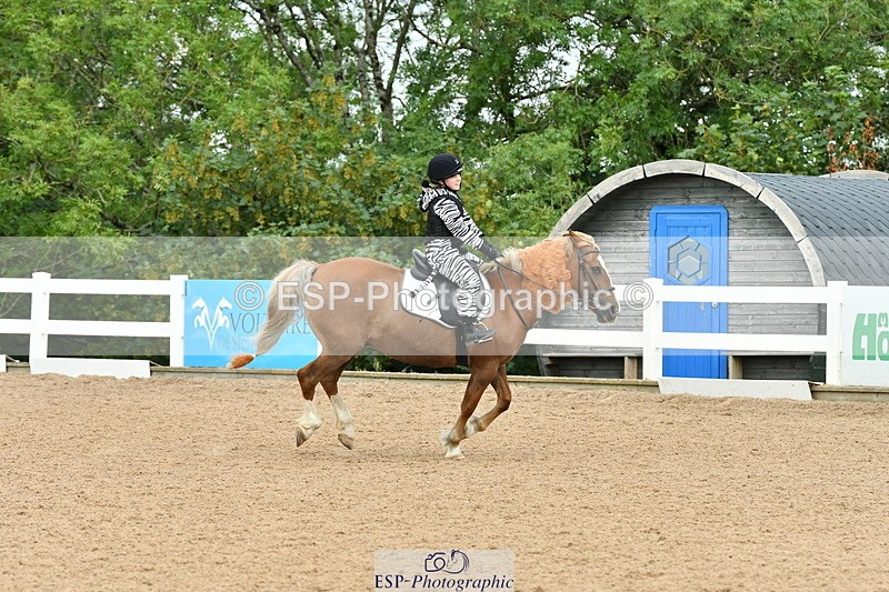 230804A-105850-01777 - Musical Ride