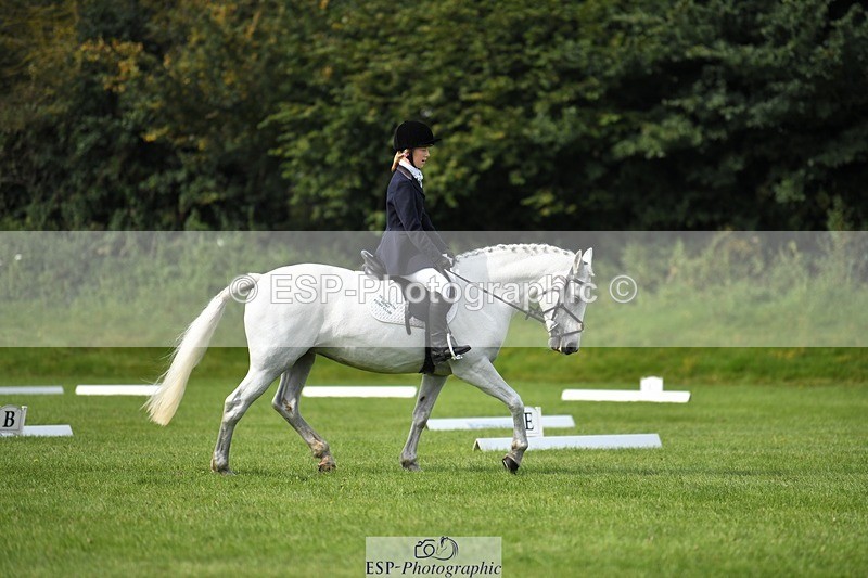 230826-104632-15598 - Sections C & D 10 to End