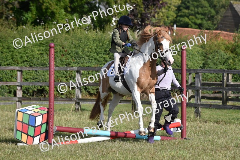 20250831-0233 - Class 6 - Minimus Jumping 30cm