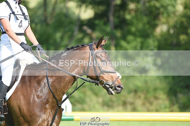 230625-091118-00123 - SJ 90cm 9.00 to 10.00