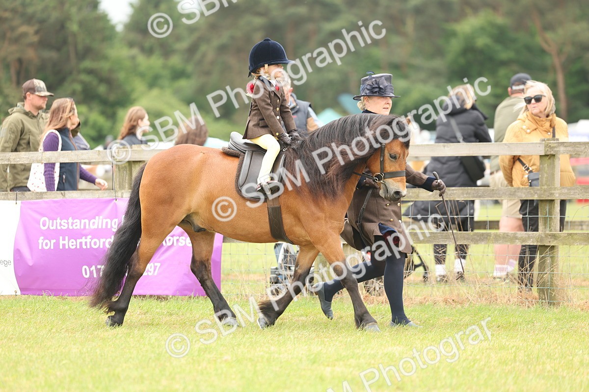 SBM_06714 - Class 74-75 - M&M Lead Rein and First Ridden Pony