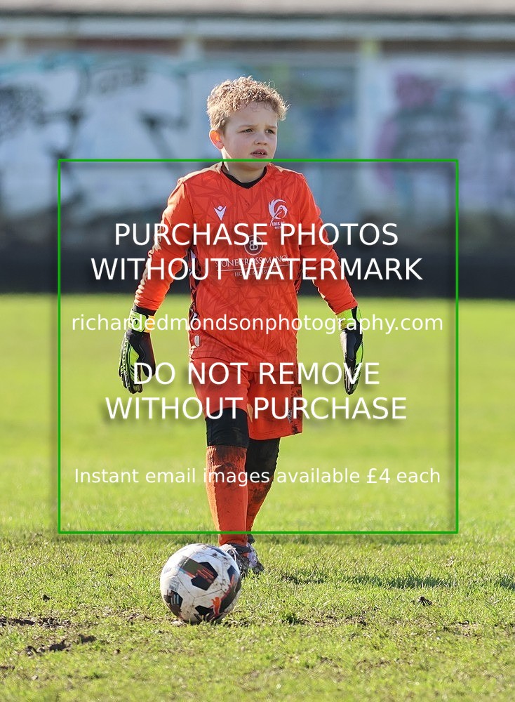 533A7802 - Ibis Under 8's (14/3/26)