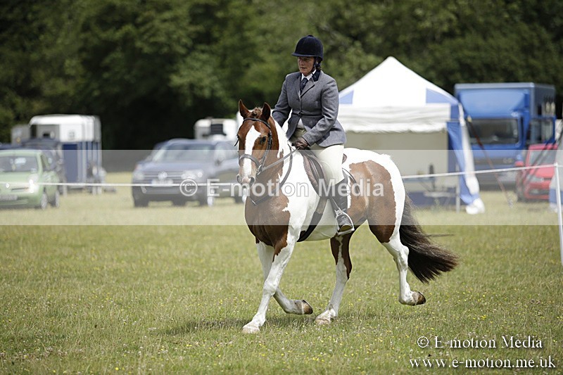 BVR160717-1921 - Ring 1 BVRC Show 16/07/17