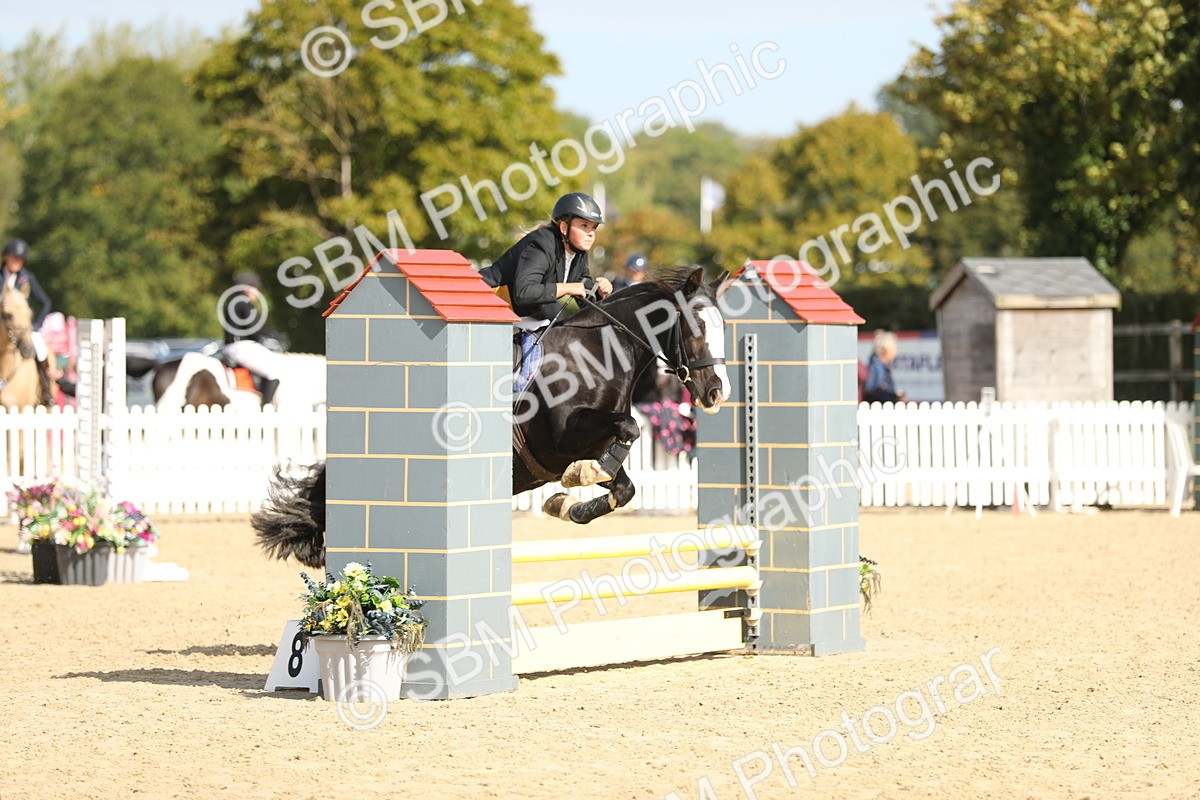 SBM_04630 - J28 - Senior Horse & Pony 60cm Championships