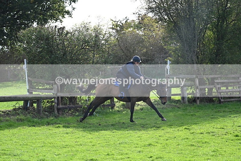 WJ7_0928 - Time 14:27 to 15:11