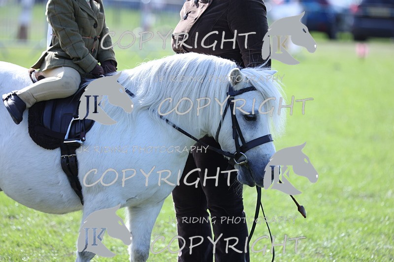 APP_3902 - Class 13 Lead rein