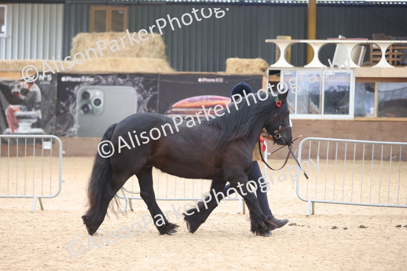 20251109-1154 - Championship