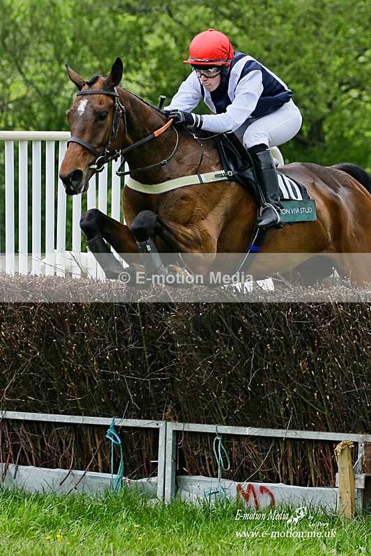 PtP 020522 556a - Equestrian