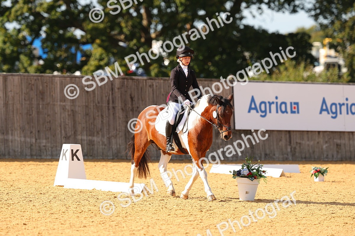 SBM_48438 - D6 - Small Tour Championship - Intro C