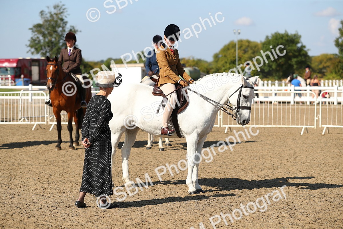 SBM_02300 - Class 43 Ridden Competition Horse/Pony