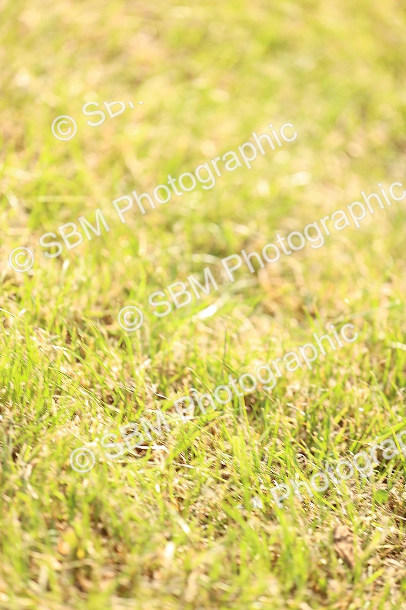 SBM_12491