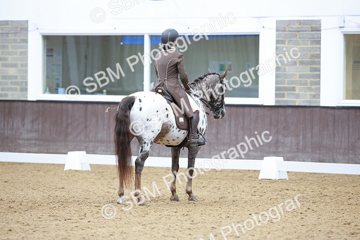 SBM_021416 - Class 14 - FEI Grand Prix - 17.40-18.34