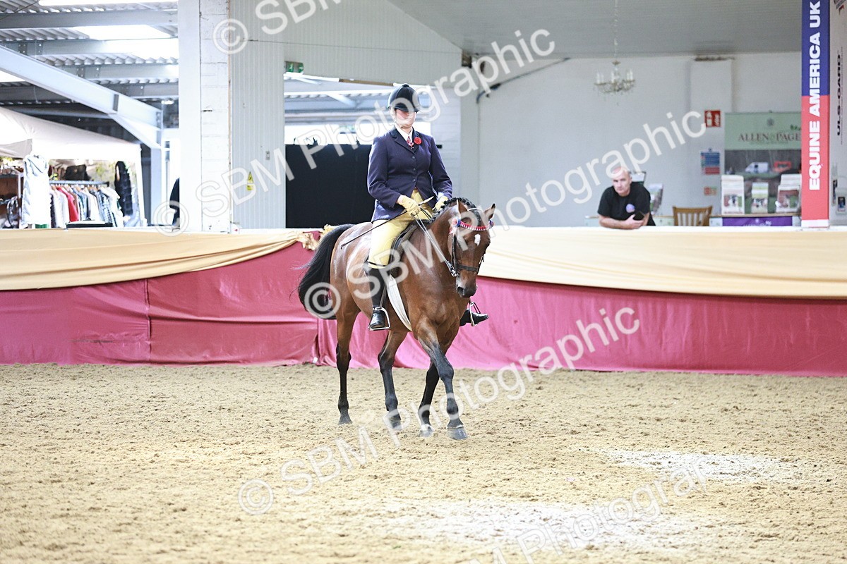 SBM_08273 - Class 11R - Regional Ridden Veteran