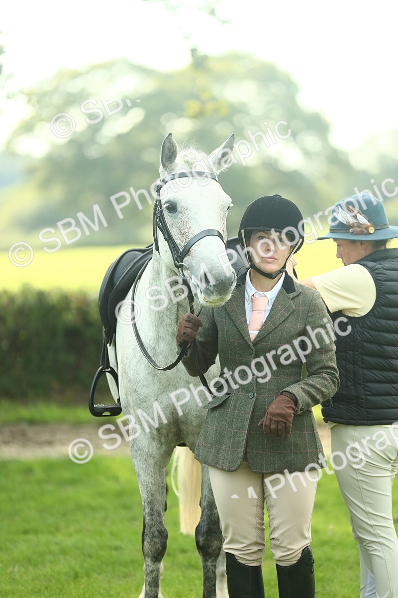 SBM_52146 - S33 - Working Hunter & Working Show Horse