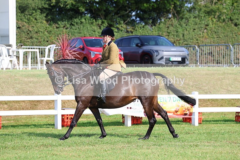 3E7A8625 - Class 3: Rising Star S/L Hunter