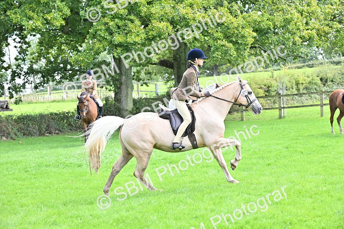 SBM_44506 - S13 - Pony Club Pony