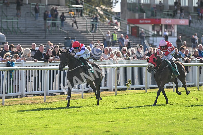 290825-Race 7-Crocus Time-9260 - Race 7