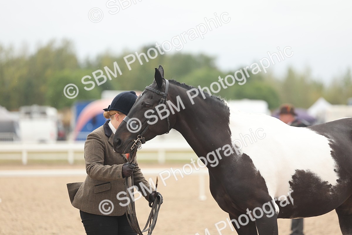 SBM_19818 - Class 318 - IH Part Bred Horse-Pony