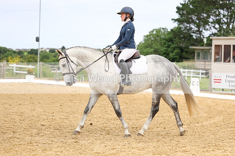 3E7A9287 - Class 2: Intro 1 2024 Section B