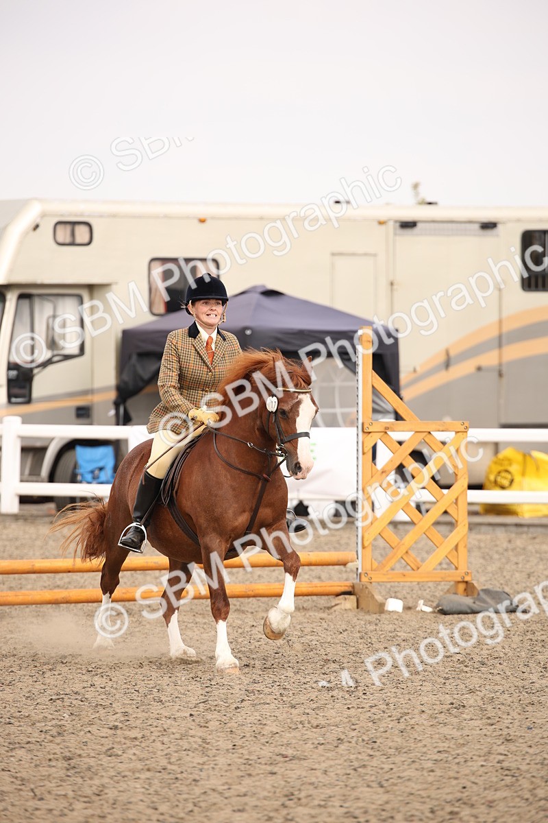 SBM_12263 - Class 405a - M&M Working Veteran 50cm (15-19)