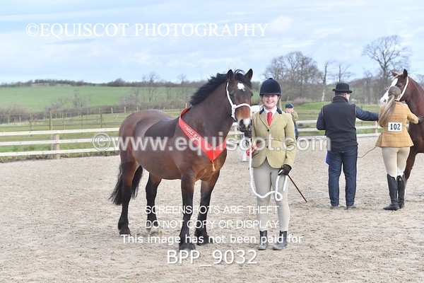 BPP_9032 - RING 2 - M&M