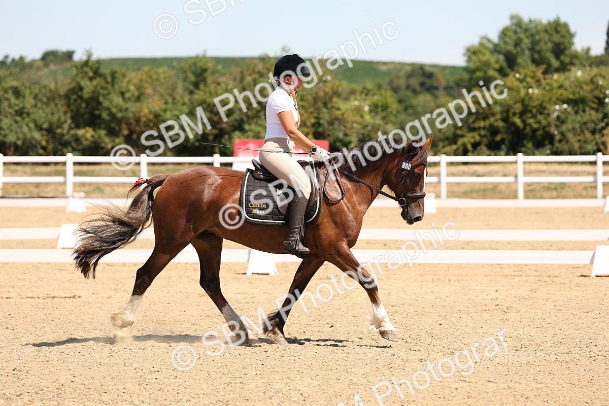 SBM_001298 - Intro 2