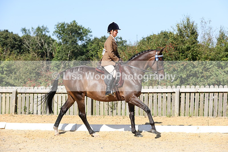 1X9A7909 - Class 10:Riding Horse