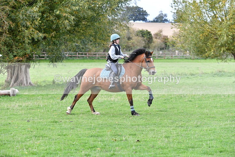 WJ5_0439 - Time 13:59 to 14:28