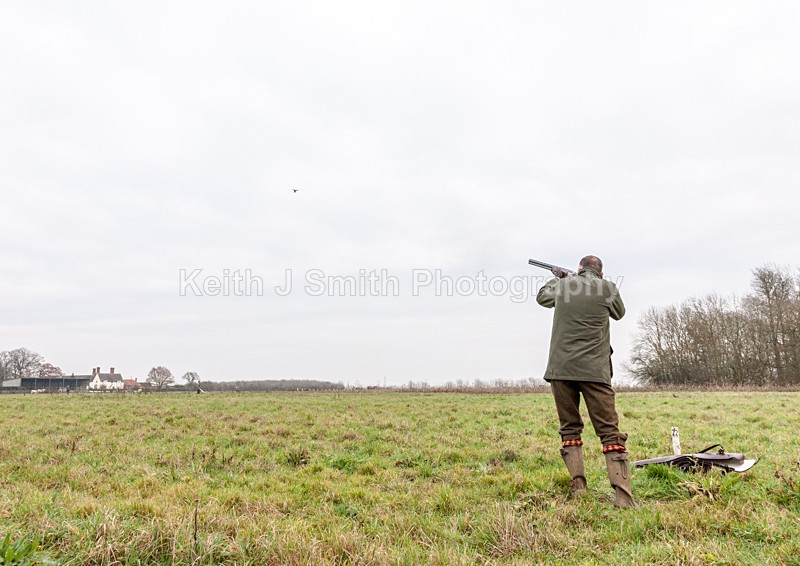 0SKJ9454 - Elton Hall Estate. Shoot day.