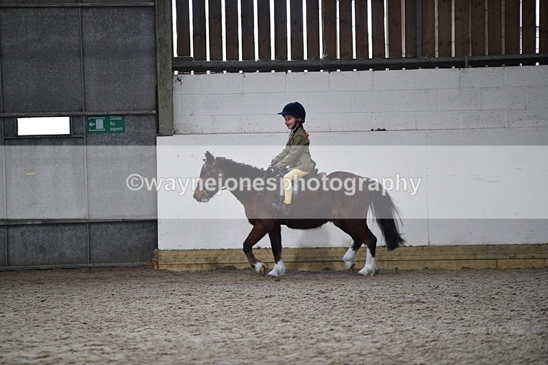 WJ5_6987 - Class 10 Childs Pony