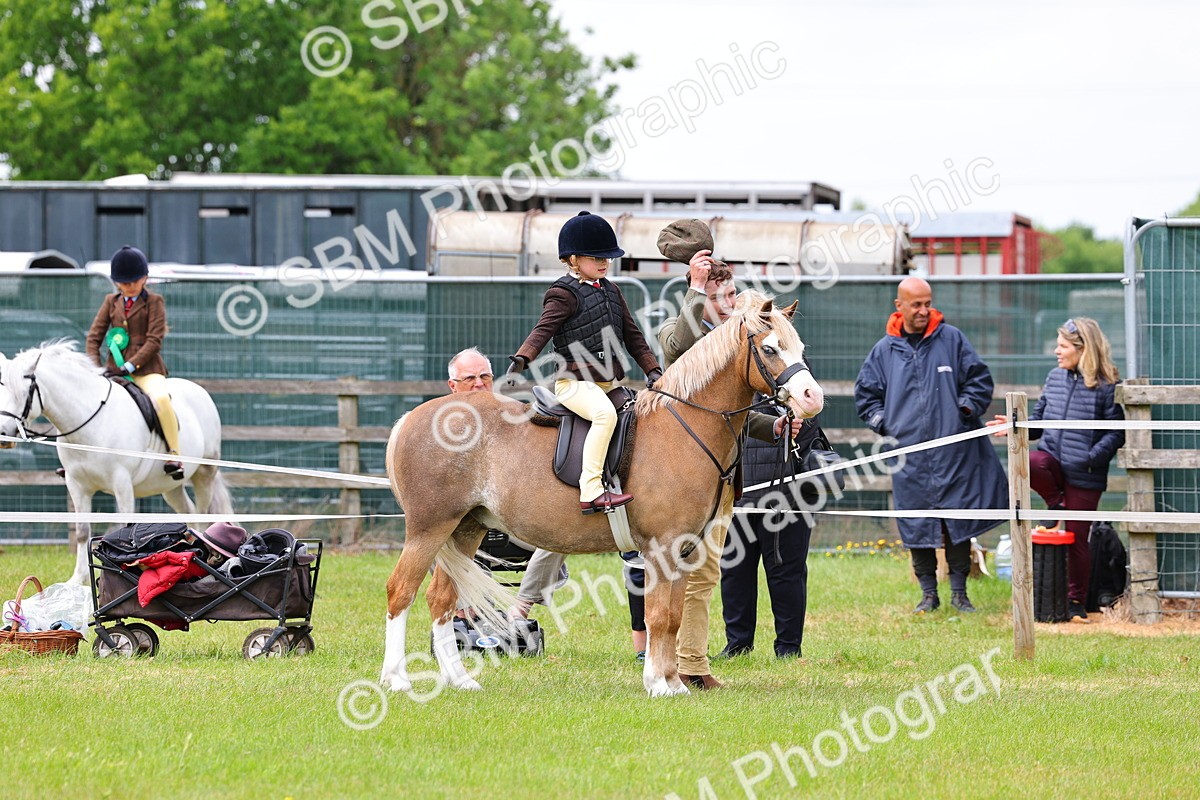 SBM_08184 - Class 42-43 - LIHS BSPS Heritage Working Sports Pony