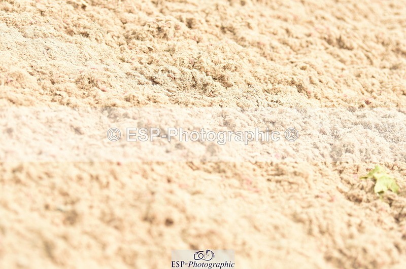 230813A-134448-13271 - Cls 49 Chard Eq 5yr Old Championship