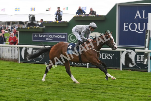 yr12052022r5-14 - Race 5 4.10pm British Stallion Studs EBF Westow Stakes