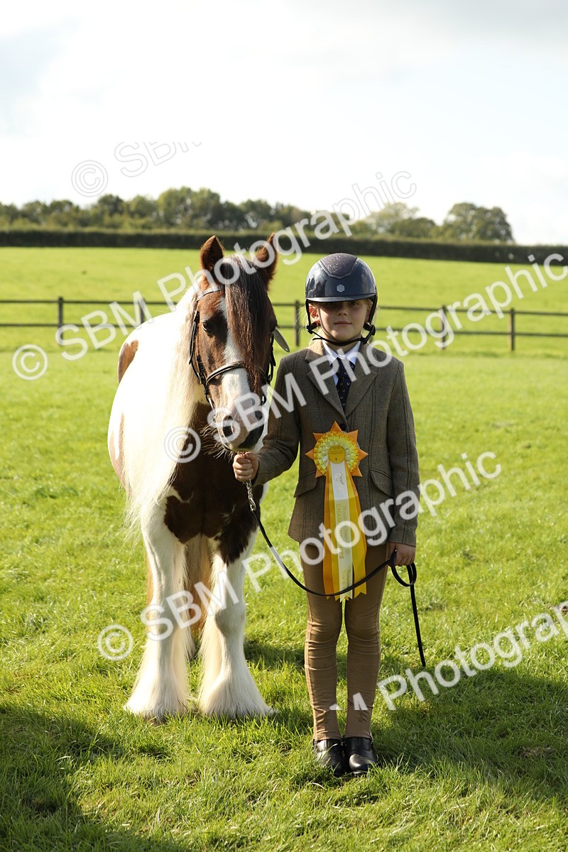 SBM_62367 - S45 - Mini Show Cob In Hand