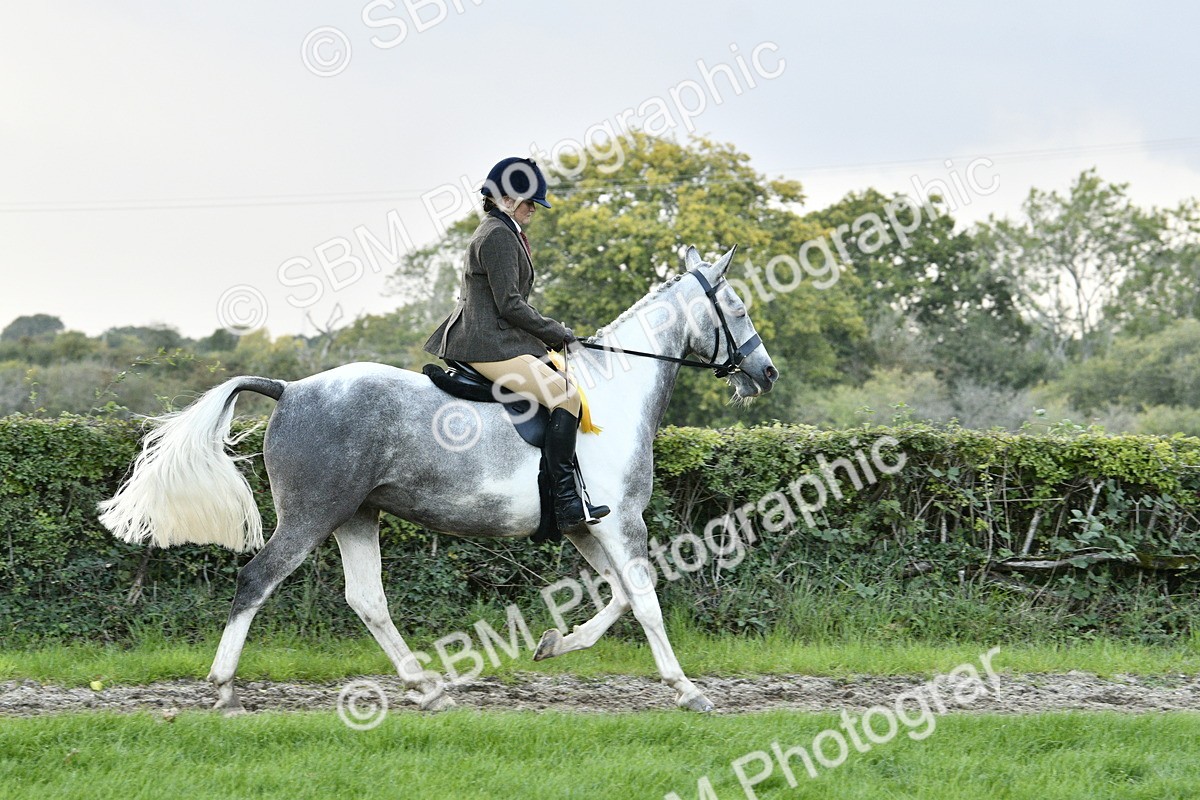SBM_53640 - S14 - Riding Club Horse