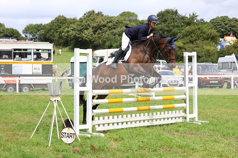 3E7A6968 - Class 5: Senior British Novice/90cm open