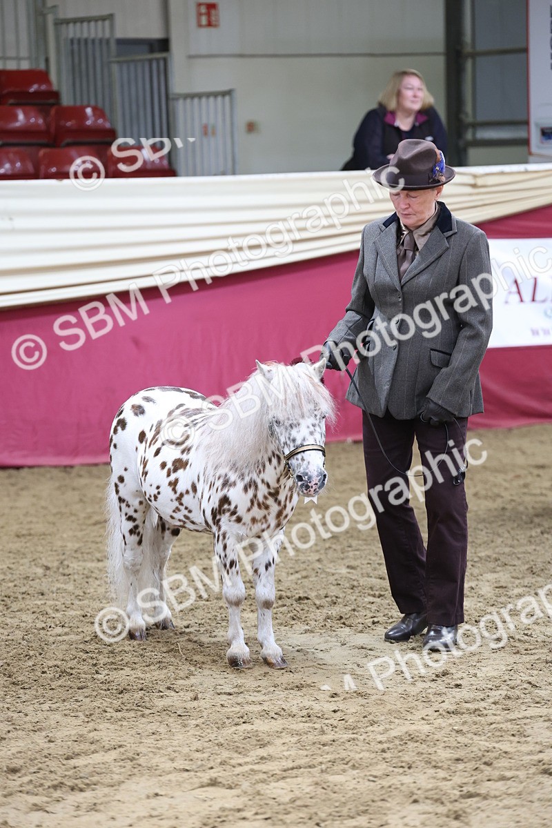 SBM_22572 - Class 902 - Supreme Final - IH Diamond