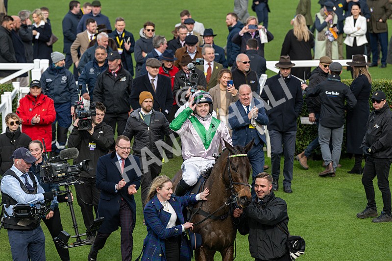130326-Race 2-Wilful-1567 - 13th March