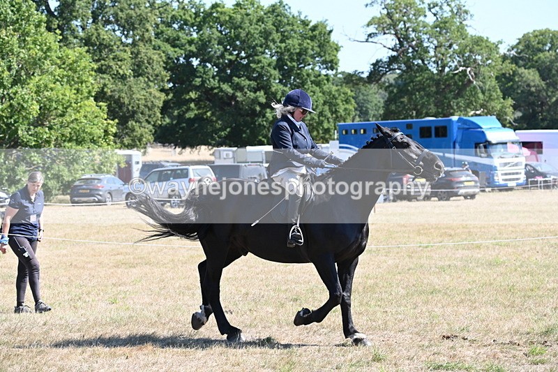 WJ6_8274 - Class 37a Best Loan Pony Ridden