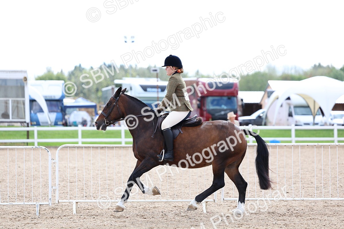 SBM_15809 - Class 314 - Family Horse - Pony