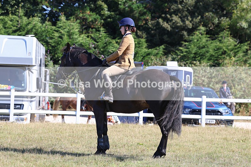 3E7A5498 - Class 3: Working Hunter 70cm
