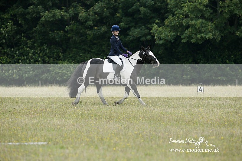BVRC 030721 25 - Bourne Valley Riding Club Dressage 03/07/21