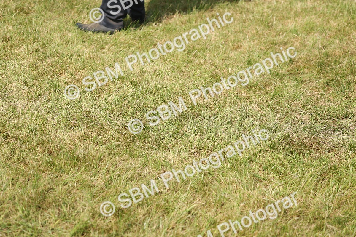 SBM_07654 - Class 26-30 - Mountain and Moorland Ridden