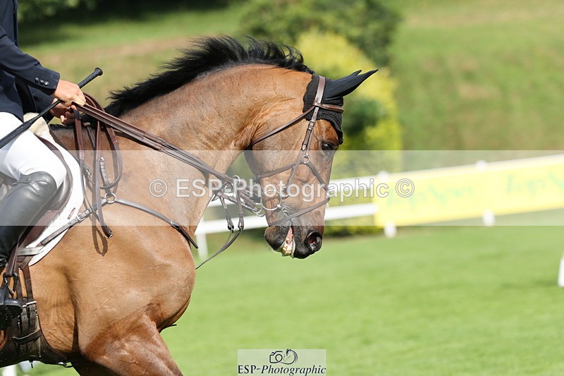 250704A-090747-08060 - Cls 15 Snr 1.20m Open