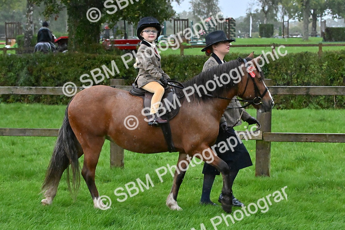 SBM_36433 - S18 - Novice & Newcomer Lead Rein Pony