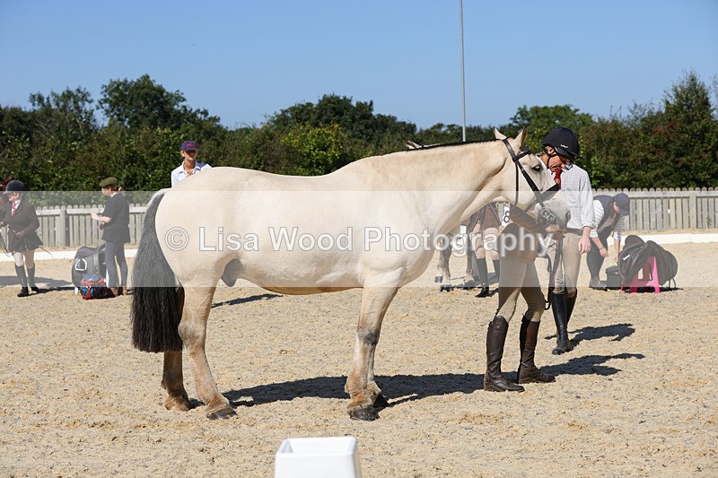 1X9A8076 - Class 11: Open Cob