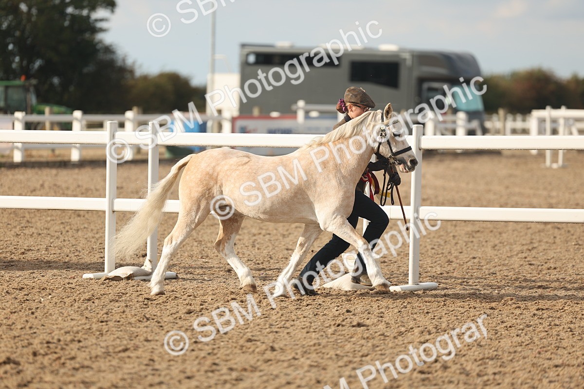 SBM_08603 - Class 29 - IH Veteran Pony