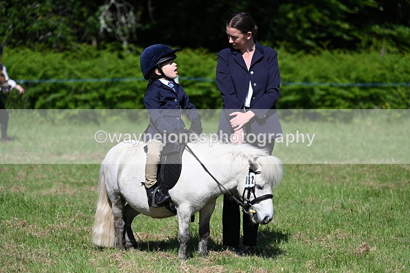 WJ7_0629 - Class 8 First Rally Pony