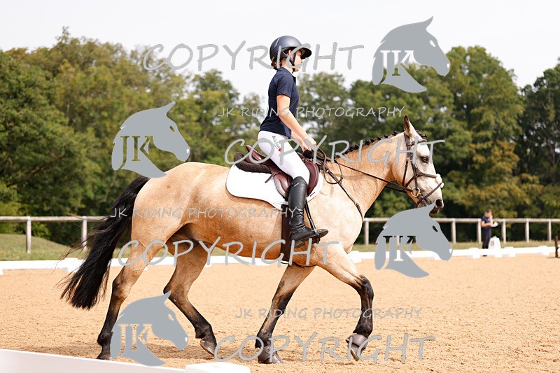 _R6A2837 - Dressage Morning